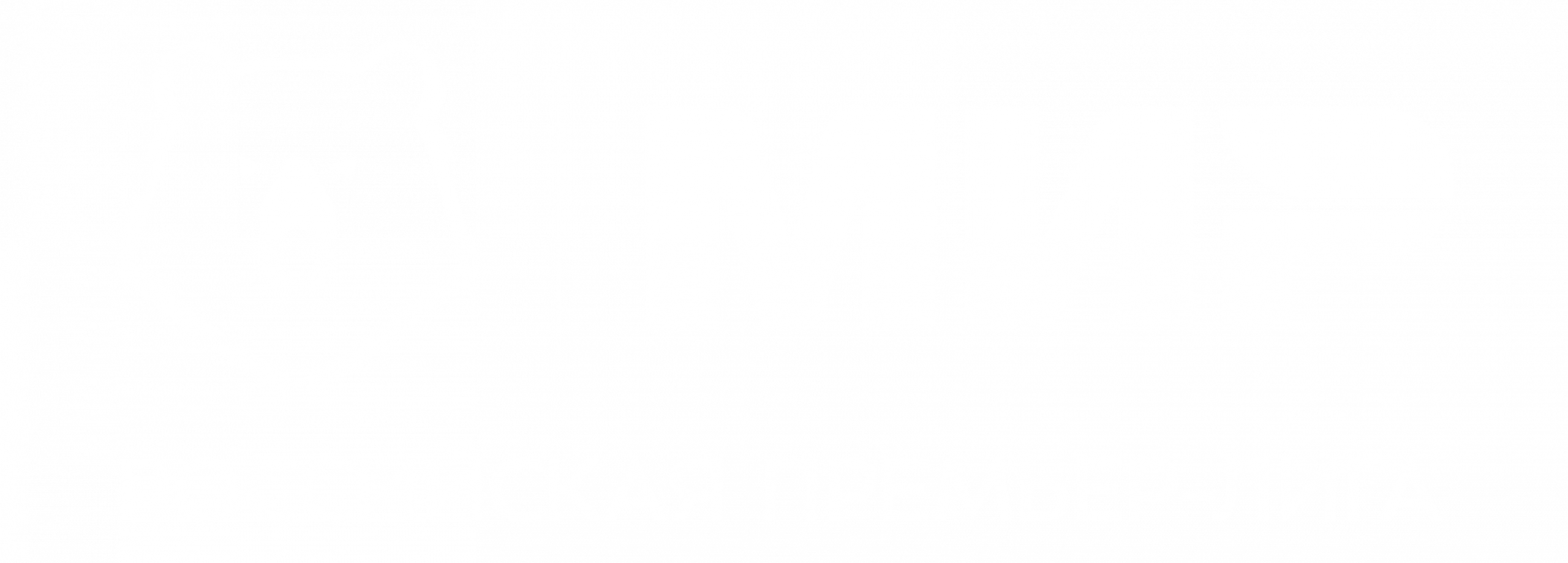 МИР Российская Премьер-Лига